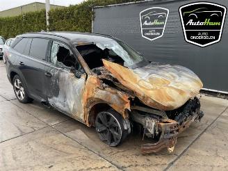 Skoda Kodiaq Kodiaq (PSAC), SUV, 2024 1.5 TSI PHEV 16V picture 2