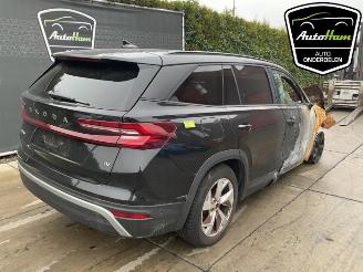 Skoda Kodiaq Kodiaq (PSAC), SUV, 2024 1.5 TSI PHEV 16V picture 10