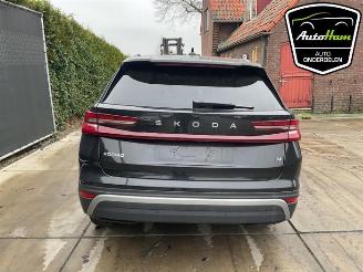 Skoda Kodiaq Kodiaq (PSAC), SUV, 2024 1.5 TSI PHEV 16V picture 9