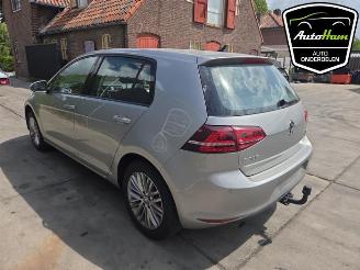 Volkswagen Golf Golf VII (AUA), Hatchback, 2012 / 2021 1.2 TSI 16V picture 8