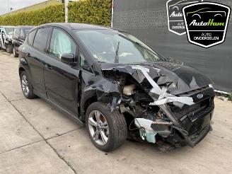 Ford C-Max C-Max (DXA), MPV, 2010 / 2019 1.0 Ti-VCT EcoBoost 12V 125 picture 2