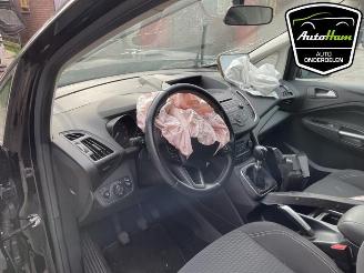 Ford C-Max C-Max (DXA), MPV, 2010 / 2019 1.0 Ti-VCT EcoBoost 12V 125 picture 15