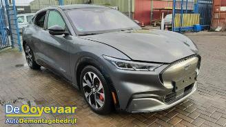 Ford Mustang Mach-e Mustang Mach-E, SUV, 2020 98kWh AWD picture 5