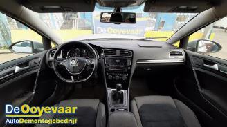 Volkswagen Golf Golf VII Variant (AUVV), Combi, 2013 / 2020 2.0 TDI 150 16V picture 2