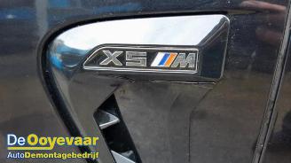 BMW X5 X5 (F15), SUV, 2013 / 2018 xDrive 35i 3.0 picture 5