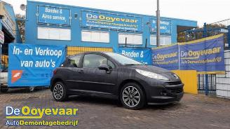 Coche siniestrado Peugeot 207/207+ 207/207+ (WA/WC/WM), Hatchback, 2006 / 2015 1.4 16V 2007/6
