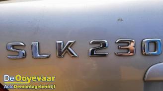 Mercedes SLK SLK (R170), Cabrio, 1996 / 2004 2.3 230 K 16V picture 2