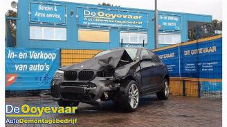 BMW X4 X4 (F26), SUV, 2014 / 2018 xDrive 28i 2.0 16V Twin Power Turbo picture 7