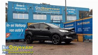 Autoverwertung Ford Kuga Kuga II (DM2), SUV, 2012 2.0 TDCi 16V 163 4x4 2013/5