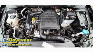 Volkswagen Polo Polo VI (AW1), Hatchback 5-drs, 2017 1.0 TSI 12V picture 3