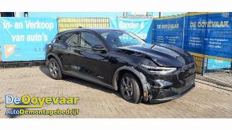 Ford Mustang Mach-e Mustang Mach-E, SUV, 2020 75kWh RWD, 98kWh Extended RWD picture 6