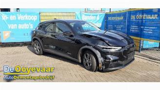 Ford Mustang Mach-e Mustang Mach-E, SUV, 2020 75kWh RWD, 98kWh Extended RWD picture 6