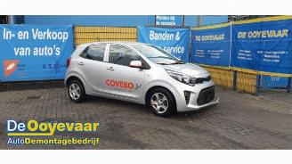 Démontage voiture Kia Picanto Picanto (JA), Hatchback, 2017 1.0 DPI 12V 2024/2