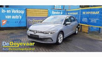 Volkswagen Golf Golf VIII (CD1), Hatchback, 2019 1.0 TSI 12V picture 5