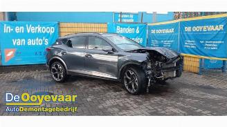 Cupra Formentor Formentor, SUV, 2020 2.0 TSI 16V 4Drive picture 5