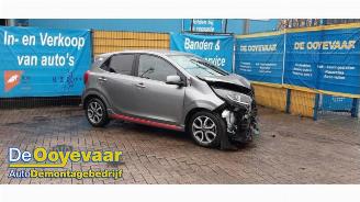 Salvage car Kia Picanto Picanto (JA), Hatchback, 2017 1.0 DPi 12V 2023/4