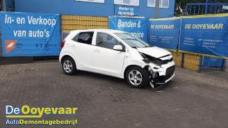 Kia Picanto Picanto (JA), Hatchback, 2017 1.0 DPi 12V picture 6