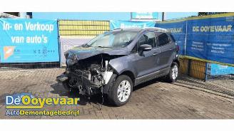 Ford EcoSport EcoSport (JK8), SUV, 2013 / 2022 1.5 TDCi EcoBlue picture 6