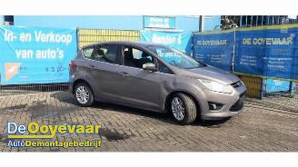 Coche siniestrado Ford C-Max C-Max (DXA), MPV, 2010 / 2019 1.0 Ti-VCT EcoBoost 12V 125 2012/12