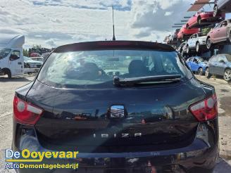 Seat Ibiza Ibiza IV SC (6J1), Hatchback 3-drs, 2008 / 2016 1.2 12V picture 11