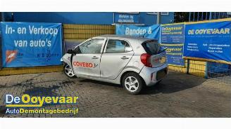 Salvage car Kia Picanto Picanto (JA), Hatchback, 2017 1.0 DPI 12V 2024/4