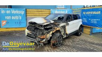 Land Rover Range Rover Evoque Range Rover Evoque (LVJ/LVS), SUV, 2011 / 2019 2.2 eD4 16V 5-drs. picture 4