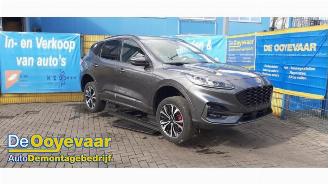 Salvage car Ford Kuga Kuga III (DFK), SUV, 2019 2.5 PHEV 16V 2021/8