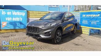 Ford Kuga Kuga III (DFK), SUV, 2019 2.5 PHEV 16V picture 4