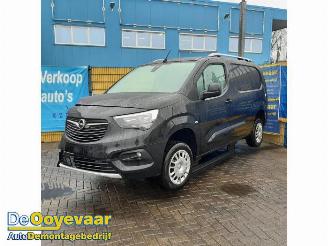 Opel Combo Combo Cargo, Van, 2018 1.5 CDTI 130 picture 3