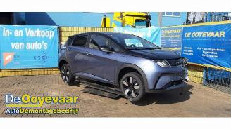  BYD Dolphin Dolphin, Hatchback 5-drs, 2021 60,4 kWh 2025/1