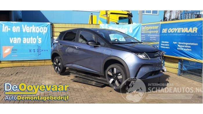 BYD Dolphin Dolphin, Hatchback 5-drs, 2021 60,4 kWh