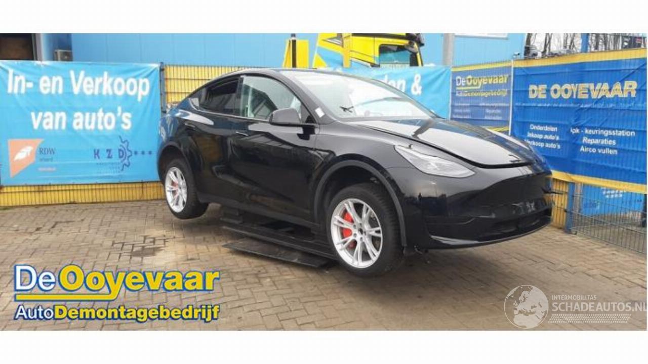 Tesla Model Y Model Y (5YJY), SUV, 2019 / 2025 RWD