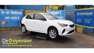 Schadeauto Opel Corsa Corsa F (UB/UH/UP), Hatchback 5-drs, 2019 1.2 Turbo 12V 100 2020/6