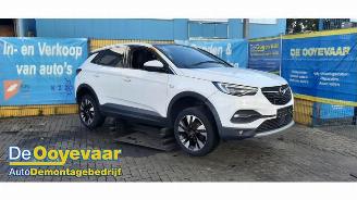 rozbiórka samochody osobowe Opel Grandland Grandland (X), SUV, 2017 1.2 Turbo 12V 2019/1