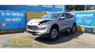 Ford Kuga Kuga III (DFK), SUV, 2019 2.5 PHEV 16V picture 4