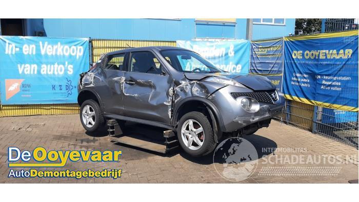 Nissan Juke Juke (F15), SUV, 2010 / 2019 1.6 16V