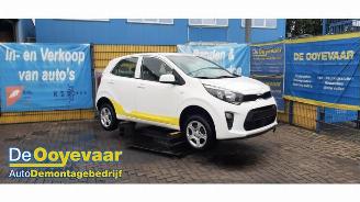 disassembly passenger cars Kia Picanto Picanto (JA), Hatchback, 2017 1.0 DPi 12V 2022/8