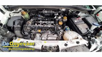Fiat Doblo Doblo Cargo (263), Van, 2010 1.6 D Multijet picture 8