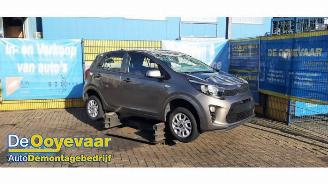 Coche siniestrado Kia Picanto Picanto (JA), Hatchback, 2017 1.0 12V 2019/10
