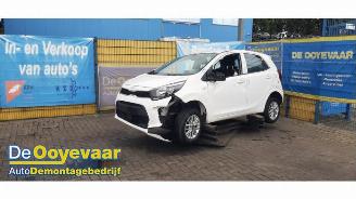 Kia Picanto Picanto (JA), Hatchback, 2017 1.0 DPI 12V picture 4