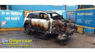 Mercedes EQB EQB (X243), SUV, 2021 300 4-Matic picture 4