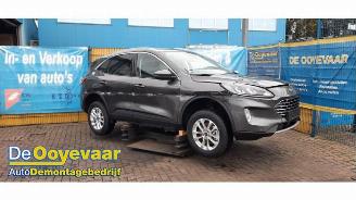Dezmembrări autoturisme Ford Kuga Kuga III (DFK), SUV, 2019 2.5 PHEV 16V 2021/8
