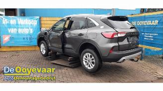 Ford Kuga Kuga III (DFK), SUV, 2019 2.5 PHEV 16V picture 3