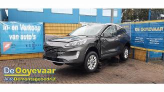 Ford Kuga Kuga III (DFK), SUV, 2019 2.5 PHEV 16V picture 2
