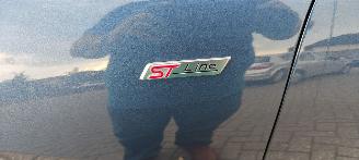 Ford Kuga Ford Kuga 1.5 EcoBlue ST-Line Automaat picture 4