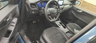Ford Kuga Ford Kuga 1.5 EcoBlue ST-Line Automaat picture 8