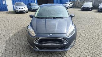 Ford Fiesta Ford Fiesta Trend top staat picture 7