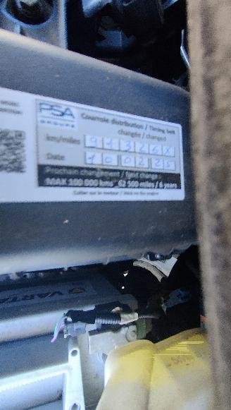 Citroën C4 cactus Citroën C4 Cactus Shine picture 13