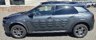 Citroën C4 cactus Citroën C4 Cactus Shine picture 2