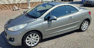 Peugeot 207/207+ Peugeot 207 1,6 hdi cabrio platinium picture 13